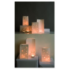 Light Paper Bags w/ Hearts